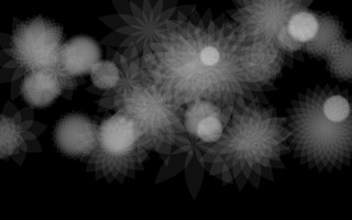 Black white flowers black background - photo of a bunch free wallpaper