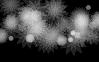 Black white flower arrangement mandelbrot - free new year wallpaper