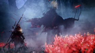 Couple flowers swords horse field - a field of flowers free wallpaper