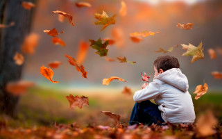 Young boy field leaves falling - young free wallpaper