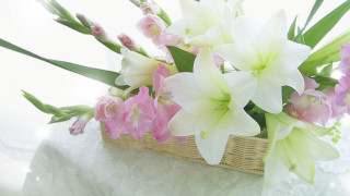 Basket flowers table white background - a basket of flowers free wallpaper
