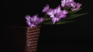 Basket purple flowers tabletop black - a basket free wallpaper