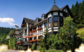 Large building flowers trees hill - a hill in the background free wallpaper