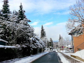 Snowy street trees building winter - the side of the road free wallpaper