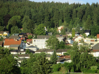 Small town trees hill houses - a few house free wallpaper