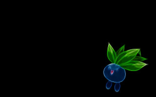 Blueberry green leaf black background 2 - head free wallpaper