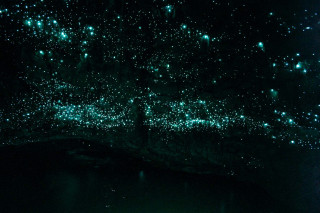 Dark room green lights ceiling - firefly free wallpaper