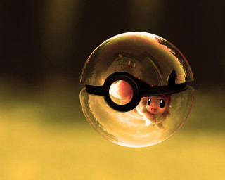 Bubble animal closeup handle image - the end free wallpaper