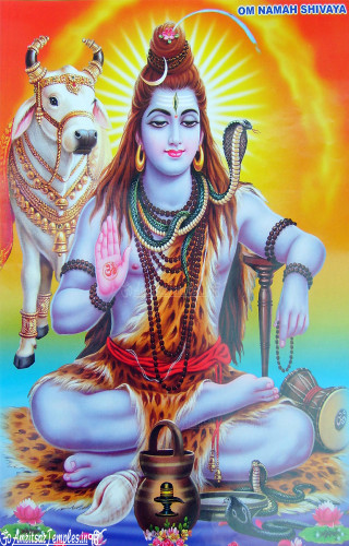 Person lotus cow sun peaceful - an illustration of free wallpaper