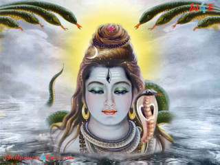 Woman snake head painting artistry - an oil free wallpaper