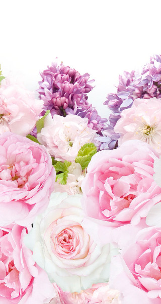 Pink white flowers white background - still free wallpaper