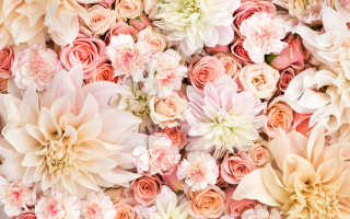 Pink white flowers wall group - still free wallpaper