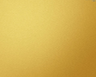 Yellow background black white cat 9 - the bottom of the picture free wallpaper