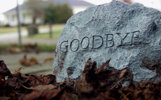 Goodbye rock park leaves grass - a house in the background free wallpaper