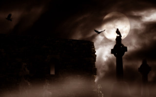 Bird flying cemetery full moon - a matte painting free wallpaper