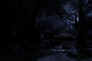 Dark forest path lake night - dark atmosphere free wallpaper