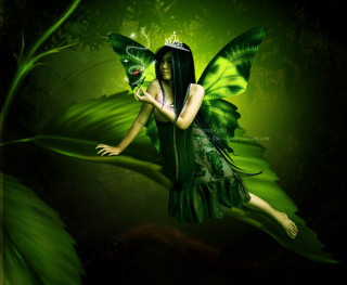 Green fairy butterfly leaf forest - dark fantasy art free wallpaper