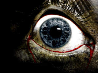 Close up eye blood drip - a close up of a persons eye free wallpaper