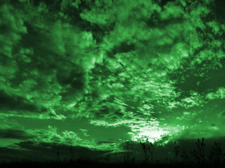 Green sky clouds trees foreground - a green sky free wallpaper