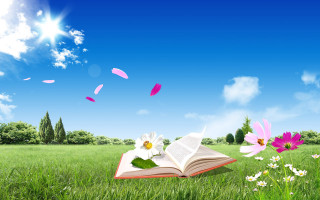 Open book grassy field daisies - a grassy field free wallpaper