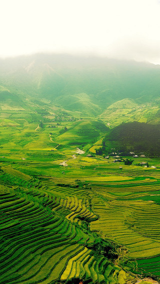 Green valley trees mountains cloudy - free landscape wallpaper