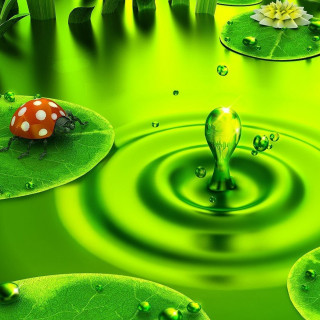 Green ladybug lily pads water - environmental art free wallpaper