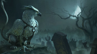 Bird beak tail cemetery night - a long beak free wallpaper