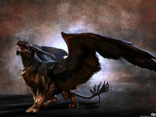 Bird large beak wings spread - a large beak free wallpaper
