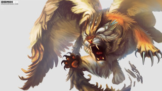 Bird large beak flying mouth - claw free wallpaper