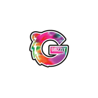 Colorful logo letter g rainbow - holography free wallpaper