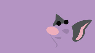 Purple cat face pink nose - a cats face free wallpaper
