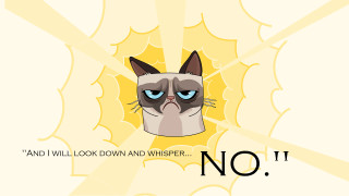 Grumpy cat caption image - ada gladys killins free wallpaper
