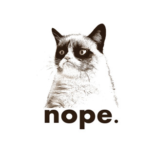 Black white cat nope face - unreal free wallpaper
