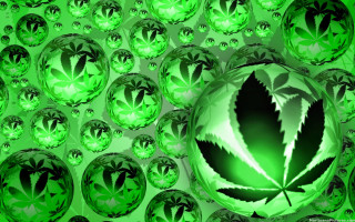 Green background leaf bubbles center - the middle of the image free wallpaper