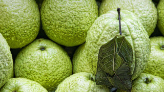 Green fruit pile leaf top - a pile free wallpaper