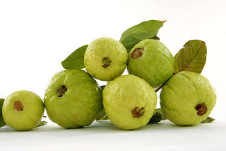 Green fruit pile leaves white - a white background behind free wallpaper
