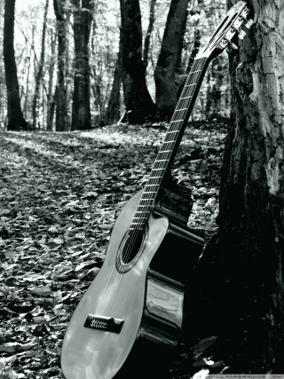 Guitar leaning tree forest black - against free wallpaper