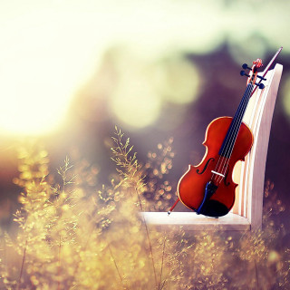 Violin window sill grass weeds - daphne mcclure free wallpaper