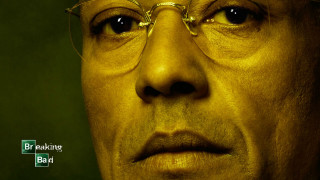 Man glasses green background breaking - chafik charobim free wallpaper