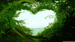 Heart tree ocean branches ecological - andy goldsworthy free wallpaper