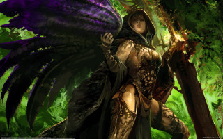 Woman costume wings hood sword - a costume free wallpaper