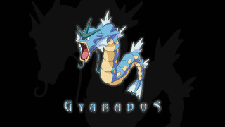 Dragon sword mouth gyrrads chest - pokemon free wallpaper