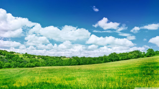 Blue sky clouds green field - a green field free wallpaper