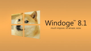 Dog looking out window windows - a dog free wallpaper for desktop