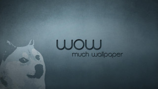 Dog standing wall wow looking - a wall free wallpaper