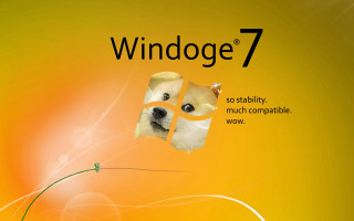 Dog yellow background Windows7 logo - free dogs wallpaper