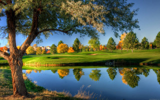 Golf course pond trees background 2 - a pond and trees free wallpaper