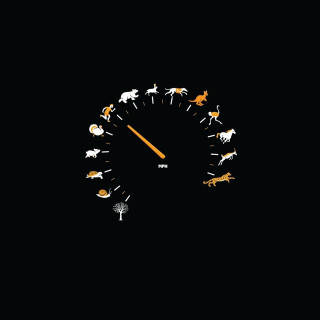 Clock animals night time lapse - dark free wallpaper