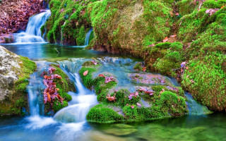 Small waterfall green forest mossy - mossy rock and trees free wallpaper