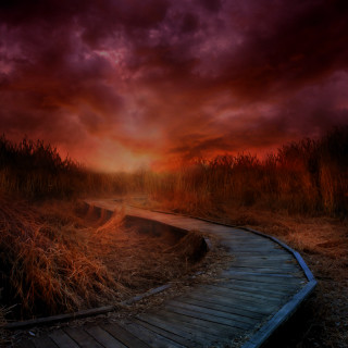 Wooden path field cloudy sunset - sunset free wallpaper
